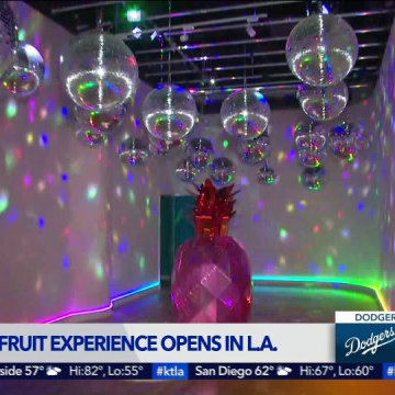 World of Fruit - Art Museum - Commercial