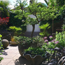 No-lawn Garden