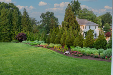 Design ideas for a landscaping in DC Metro.