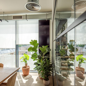 Living Room Blinds