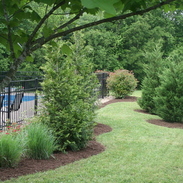 Steiner Pool