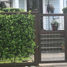 Fencing