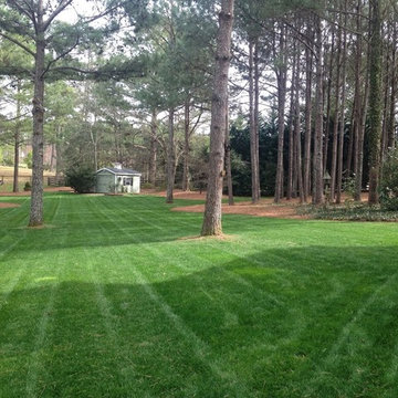 Lawn Envy Projects