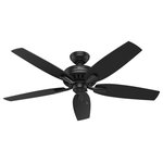 Hunter Fan Company - Hunter Fan Company 52" Newsome Damp Black Ceiling Fan - With its charming appearance, the Newsome outdoor ceiling fan without light will complement your casual design style. The clean line details throughout the fan body and blade irons work together to create a coherent design that will fit any standard or large room space. With stainless steel hardware, this damp-rated fan was built to withstand the elements making it perfect for areas exposed to moisture and humidity like your outdoor sunroom or patio. The 52-inch blades of the Newsome traditional fan are powered by a three-speed WhisperWind motor delivering superior air movement and whisper-quiet performance so you get all the cooling power you want without the noise. The Newsome Collection offers you the freedom to choose from many different sizes, light kits, and other options to maintain a consistent look throughout every room in your home.