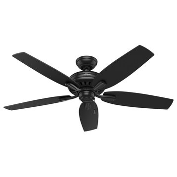 Hunter Fan Company 52" Newsome Damp Black Ceiling Fan