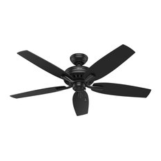 Hunter Fan Company 52" Newsome Damp Black Ceiling Fan