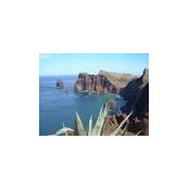 Amelia de Sousa's photo