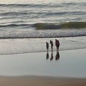 Amy Wall's photo