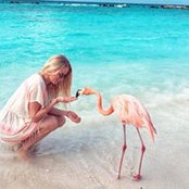 Mo Ma's photo