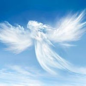 Laurence Poli's photo