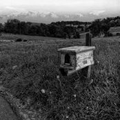 Austin Stankus's photo