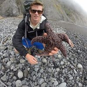 Andrew Firth's photo