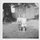 joann_engelke