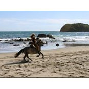Samantha Browning's photo