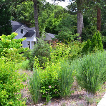 Decatur Woodland Screen