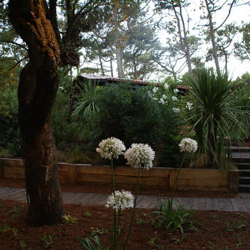 Jardin privé au Cap Ferret