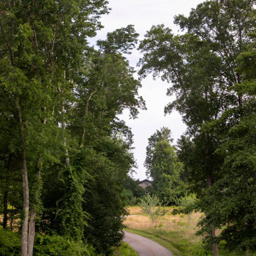 SummerField