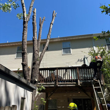 Complete Outdoor Property Improvement and Tree Service