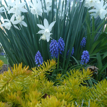 Workhorse Plants