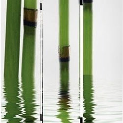 Bestsellers - Screen Doors