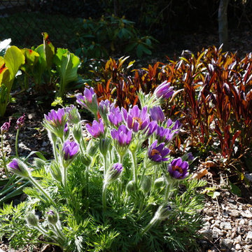 Howard Designs - Demonstration Garden
