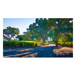 Douglas Page Photographic Arts - Wine Country Lane,  Giclee On Canvas, 20"x10" - Prints And Posters