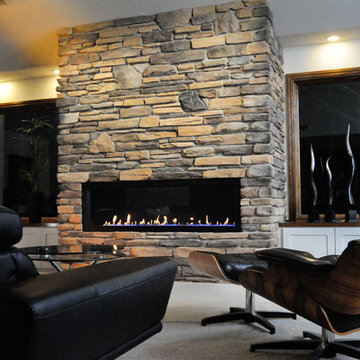 Fireplaces & Heating Stoves - Gas, Wood, Pellet & Electric