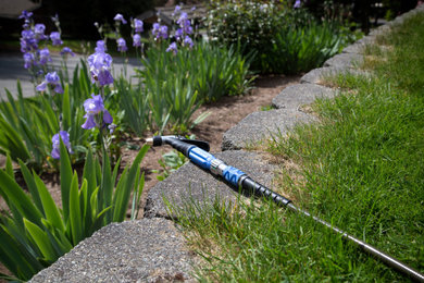 Design ideas for a modern landscaping in Seattle.