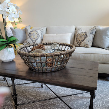 Transitional Remodeled Great Room