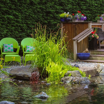 Backyard Swim Pond
