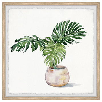 "Potted Monstera Deliciosa" Framed Painting Print, 12"x12"