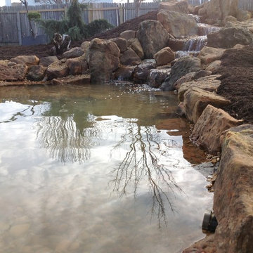 Marilyn's Pond With Waterfalls, a Stream, and a Bog Filter