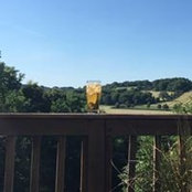 Sean Capps's photo