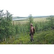 Anders Gilberg's photo