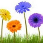 Judy Keys's photo