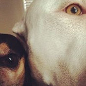 Eric Sartori's photo