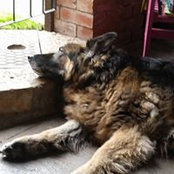 Sonya Wilkinson's photo
