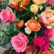 Carly Cercone's photo