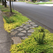 Boulevard Planting