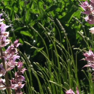Native Herbal Garden