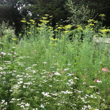 Meadowscaping