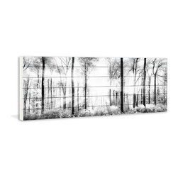White Light Forest - Prints And Posters