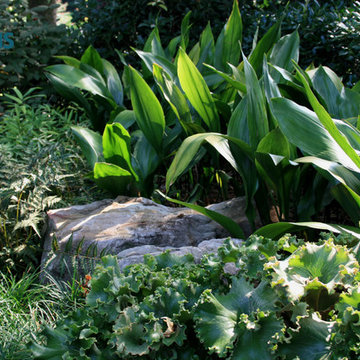 Flower Gardens and Beds