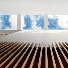 Sky Lights / Natural Light
