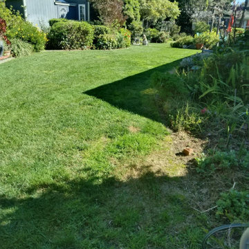 Front & Backyard Lawn Maintenance