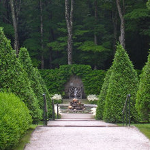 Garden ideas