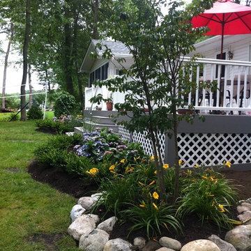 Summer Blooms
