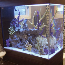 Aquarium