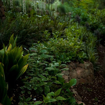 Custom Landscape Design