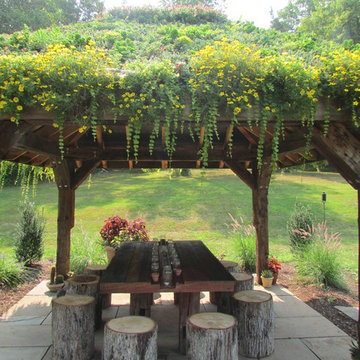 LIVE GREEN ROOF